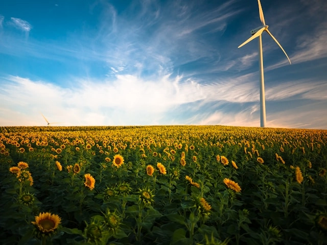 Environment Subject writer suject