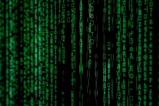Information System writer suject