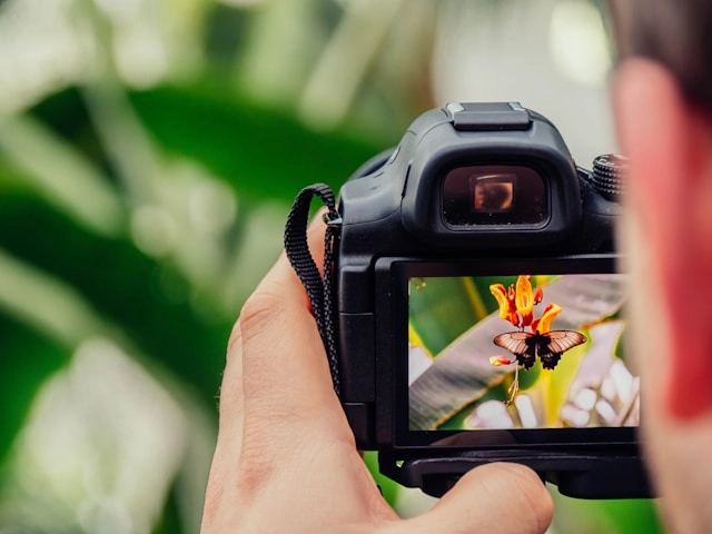 Photography suject